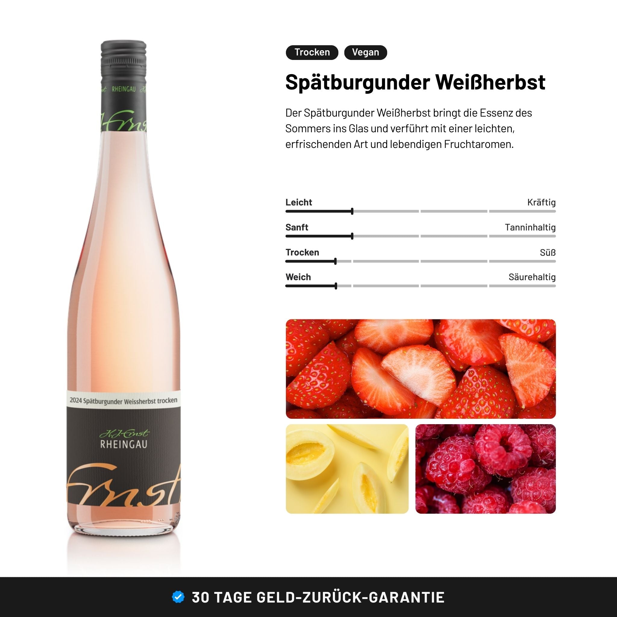 Wein Probierpaket kaufen Rheingau - Weingut Ernst