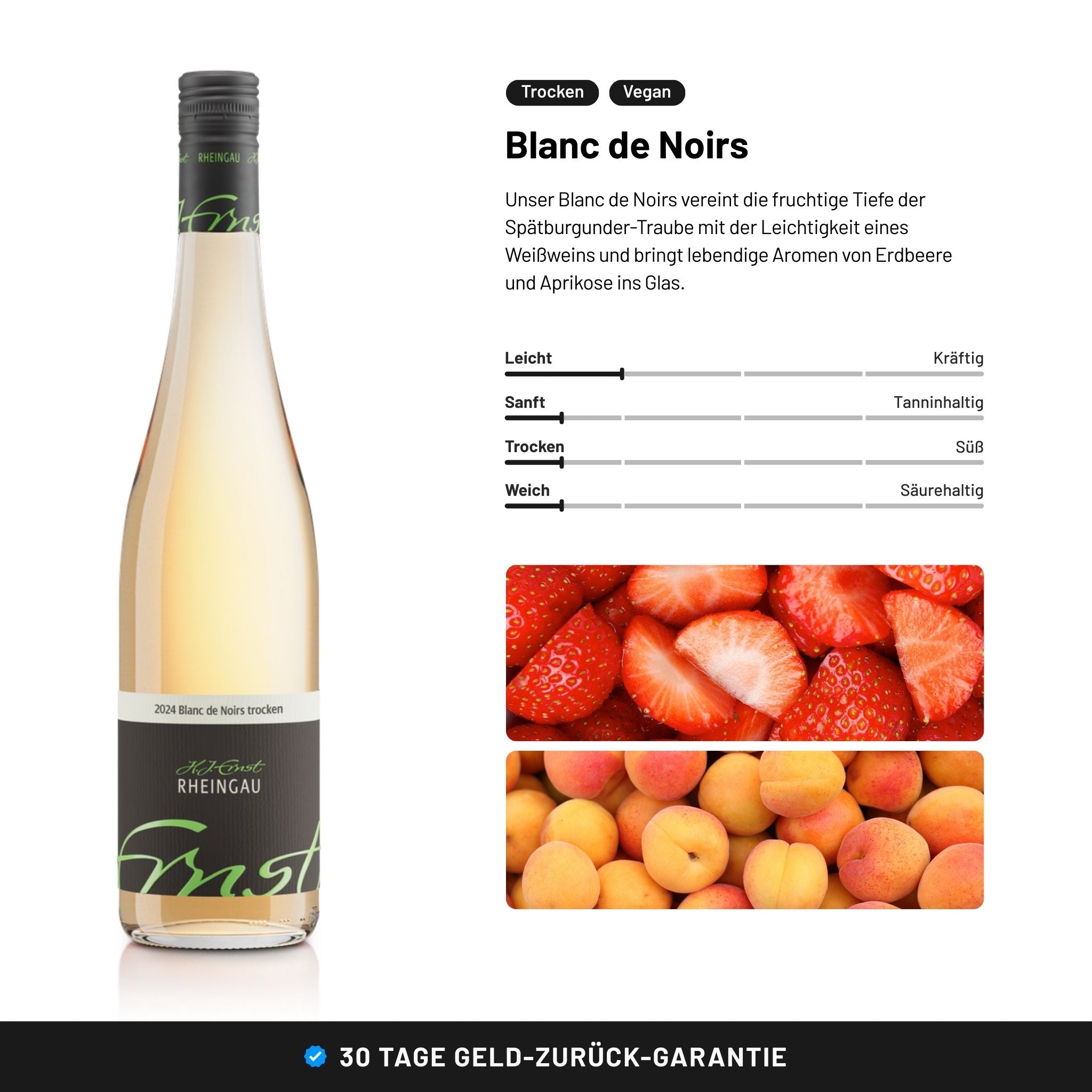 Wein Probierpaket kaufen Rheingau - Weingut Ernst