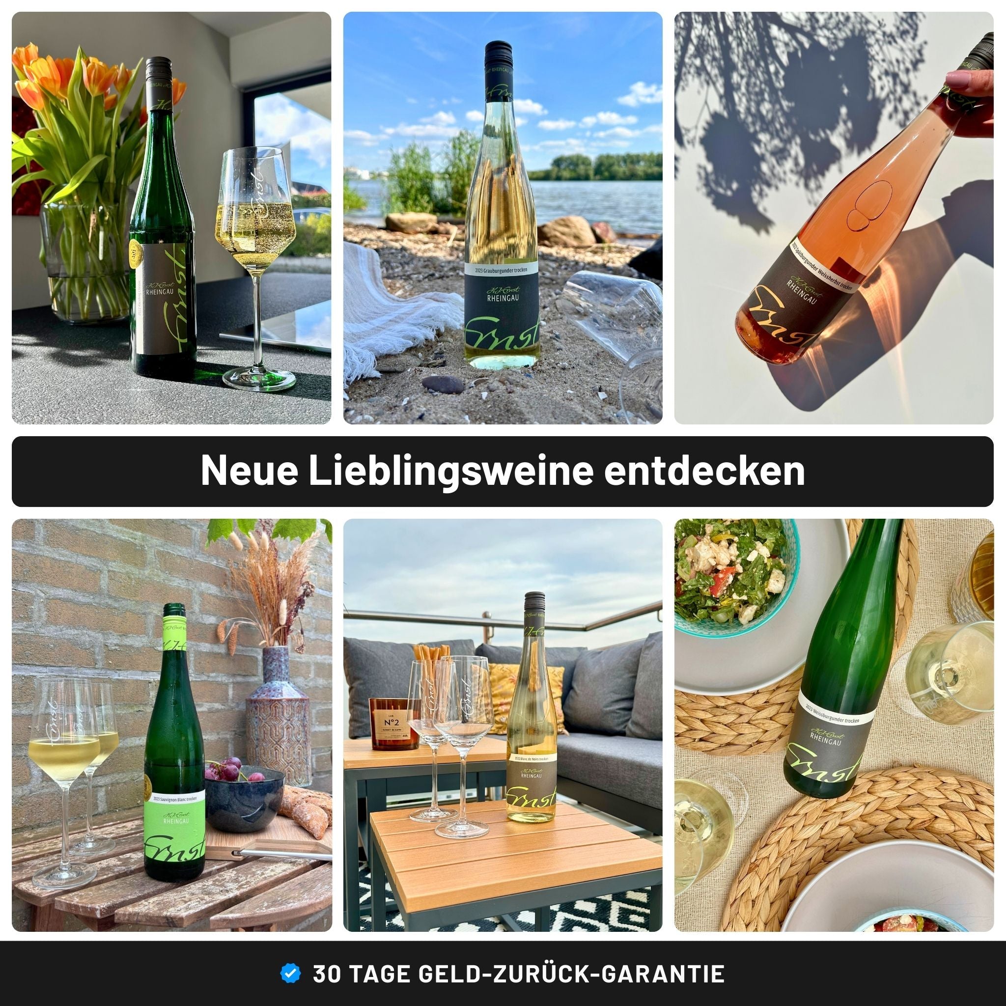 Wein Probierpaket kaufen Rheingau - Weingut Ernst