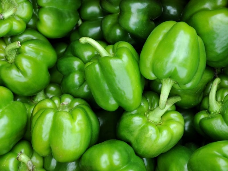 Sauvignon Blanc Sekt – Bild 1