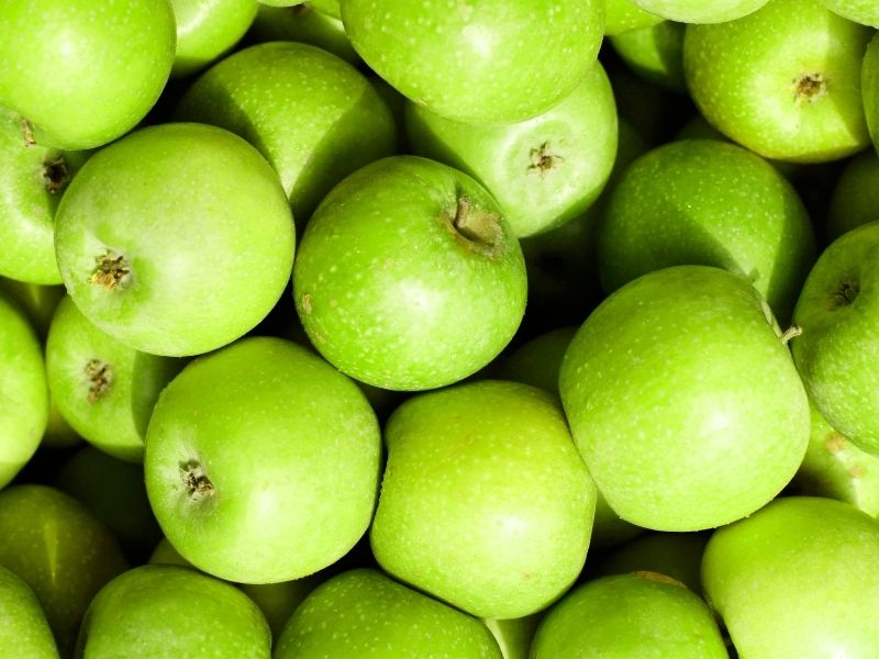 Grauburgunder – Bild 1