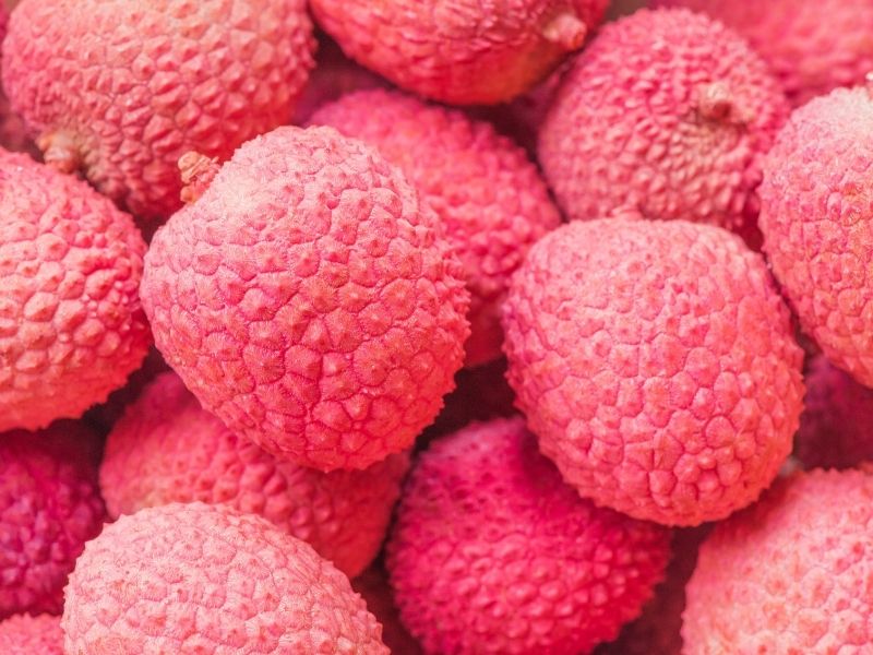 Gewürztraminer – Bild 3