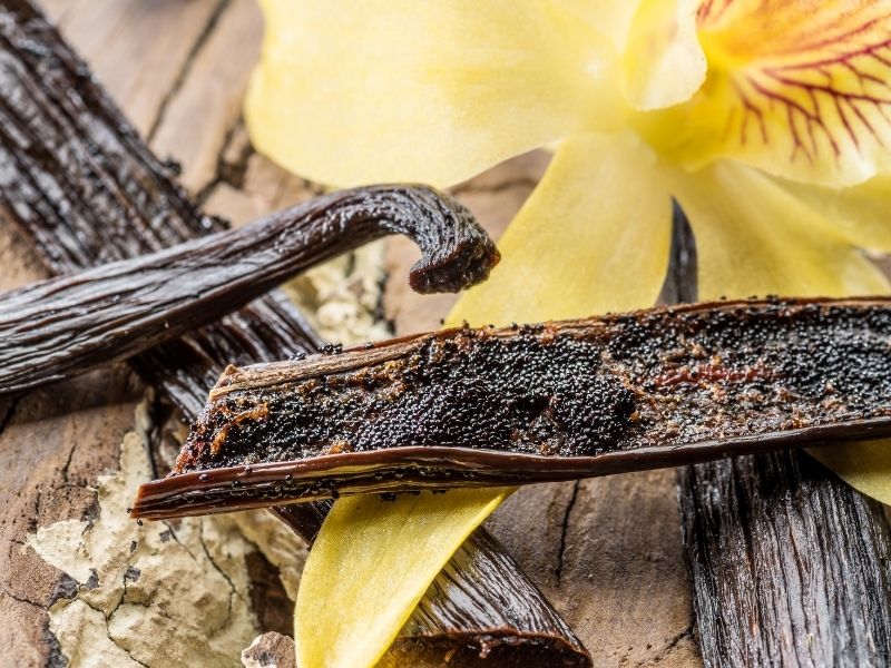 Sonnenberg Spätburgunder Auslese – Bild 2