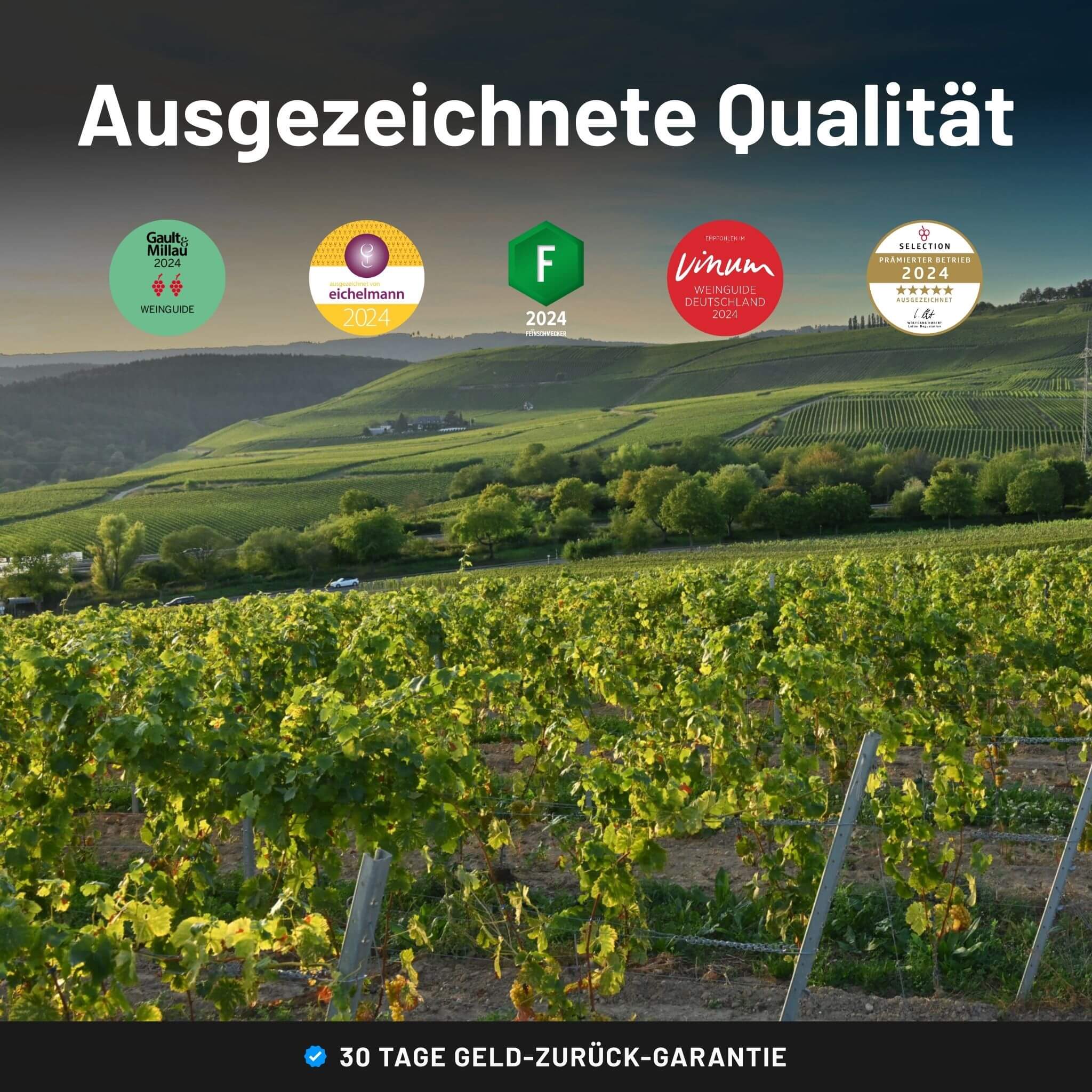 Ausgezeichnete Qualität - Weingut Ernst