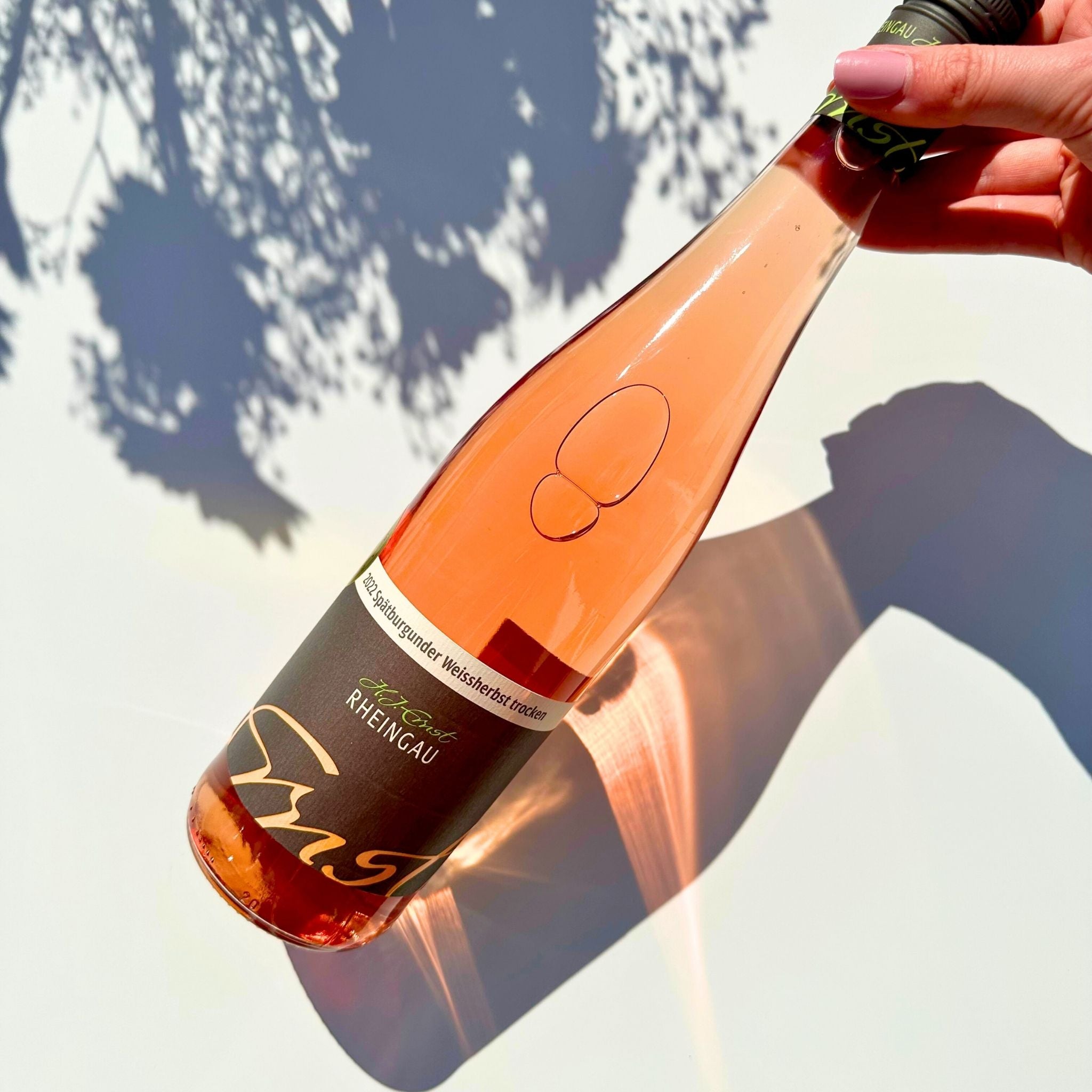 Spätburgunder Weißherbst trocken in der Sonne - Weingut Ernst