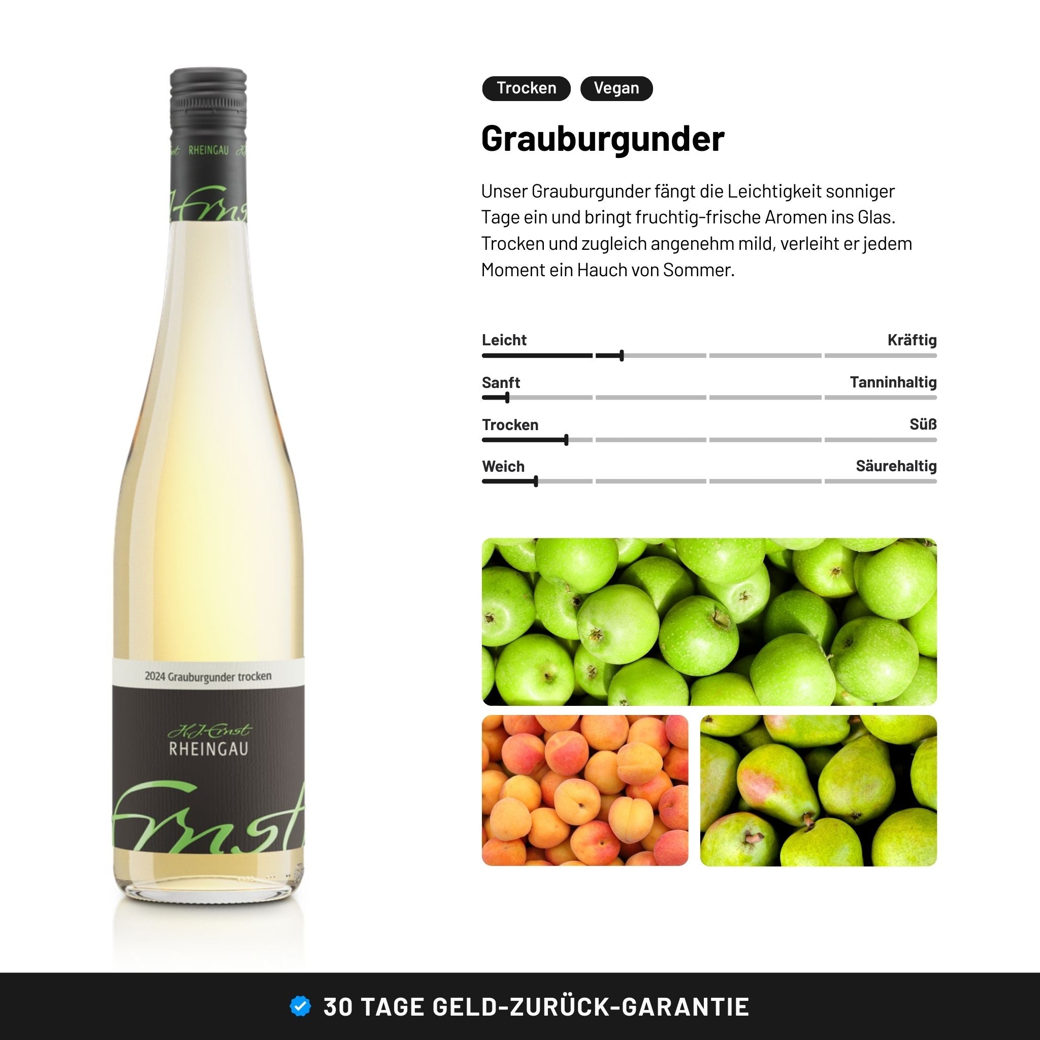 Wein Probierpaket kaufen Rheingau - Weingut Ernst