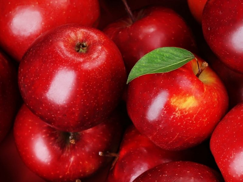 Rheingau Riesling Classic – Bild 2