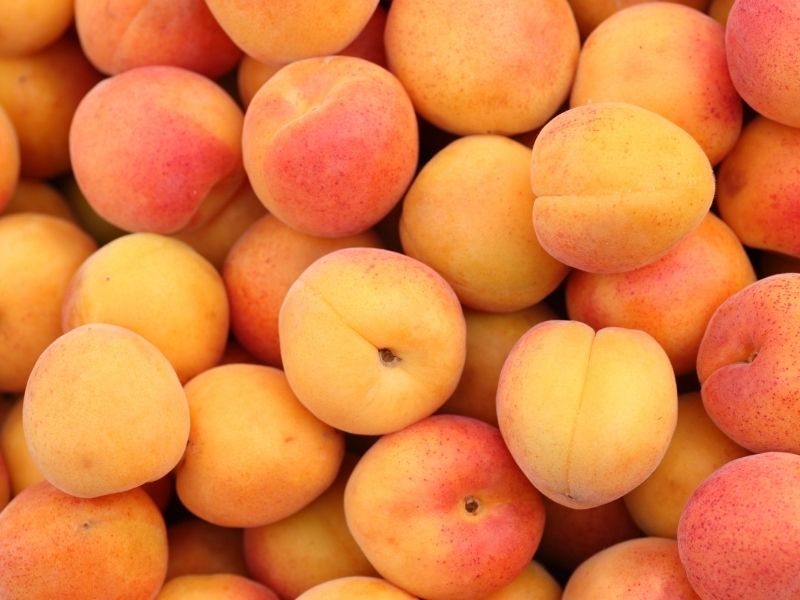 Blanc de Noirs – Bild 2