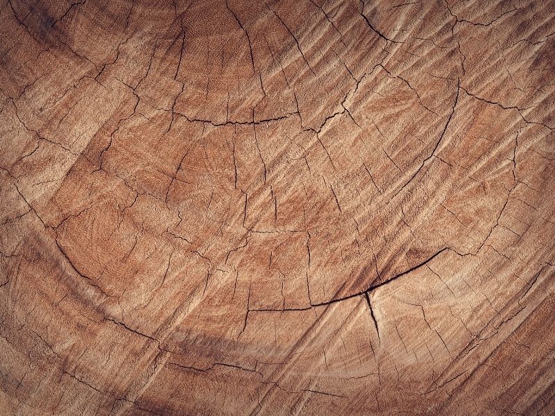 Sonnenberg Spätburgunder Auslese – Bild 1