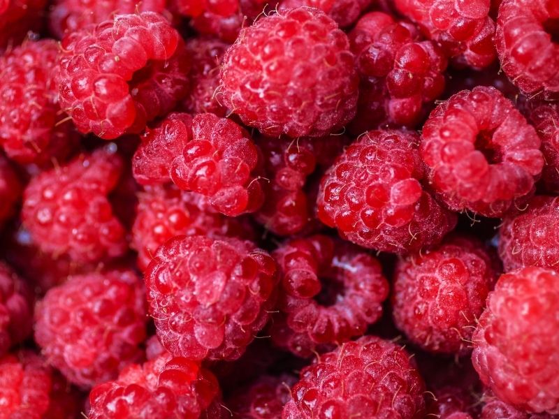 Spätburgunder Weißherbst – Bild 2