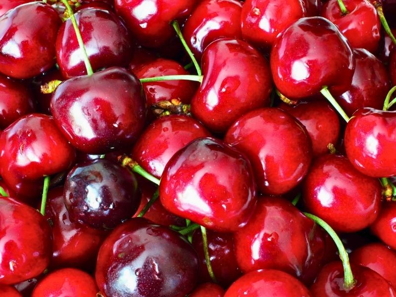 Spätburgunder Rotsekt – Bild 1