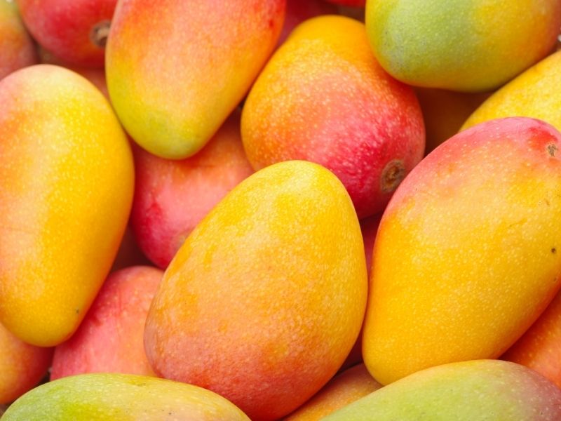 Goldmuskateller Sekt – Bild 1