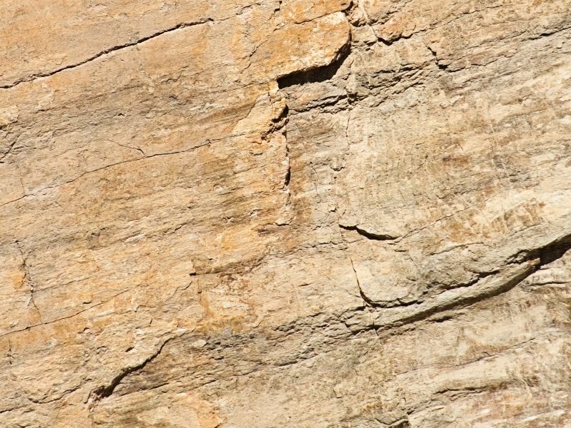 Rhg Grosses Gewächs® – Bild 3