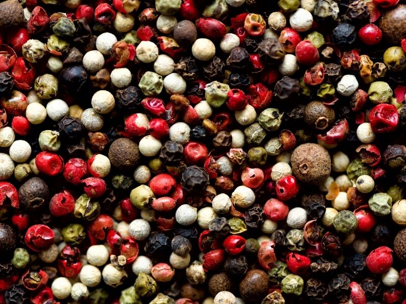 Cabernet Sauvignon – Bild 3