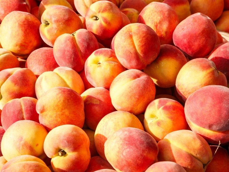 Taubenberg Riesling Kabinett – Bild 3