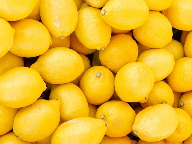 Steinmächer Riesling Rheingau – Bild 1