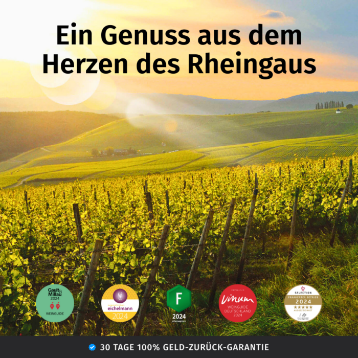 Probierpaket Weingut Ernst Rheingau 9